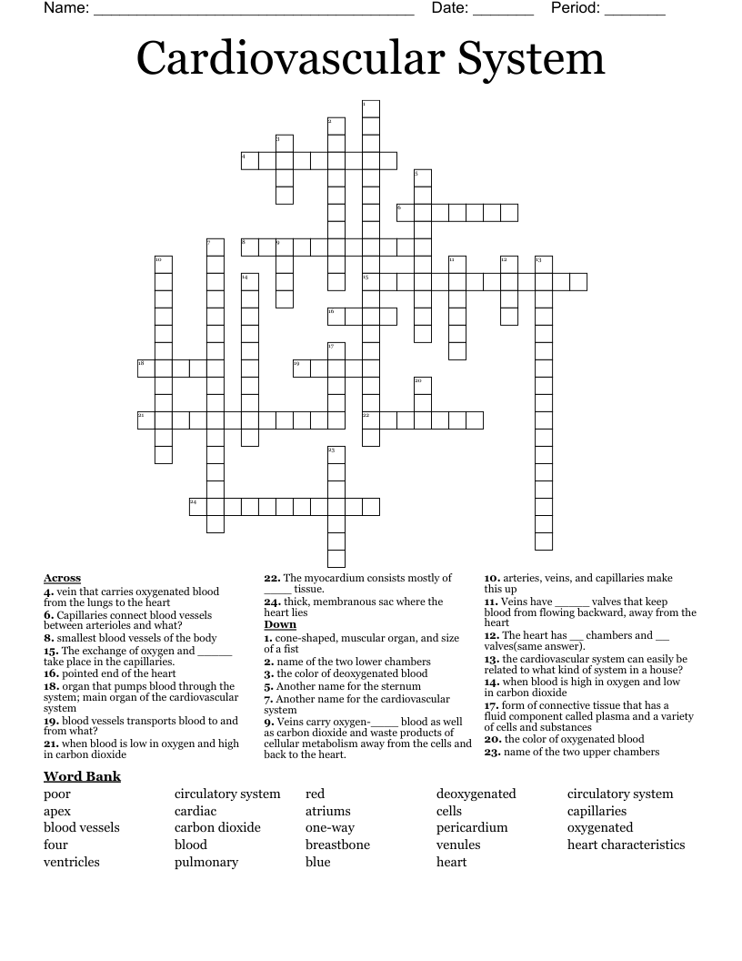 Cardiovascular System Crossword