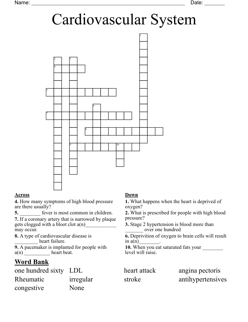 Cardiovascular System Crossword