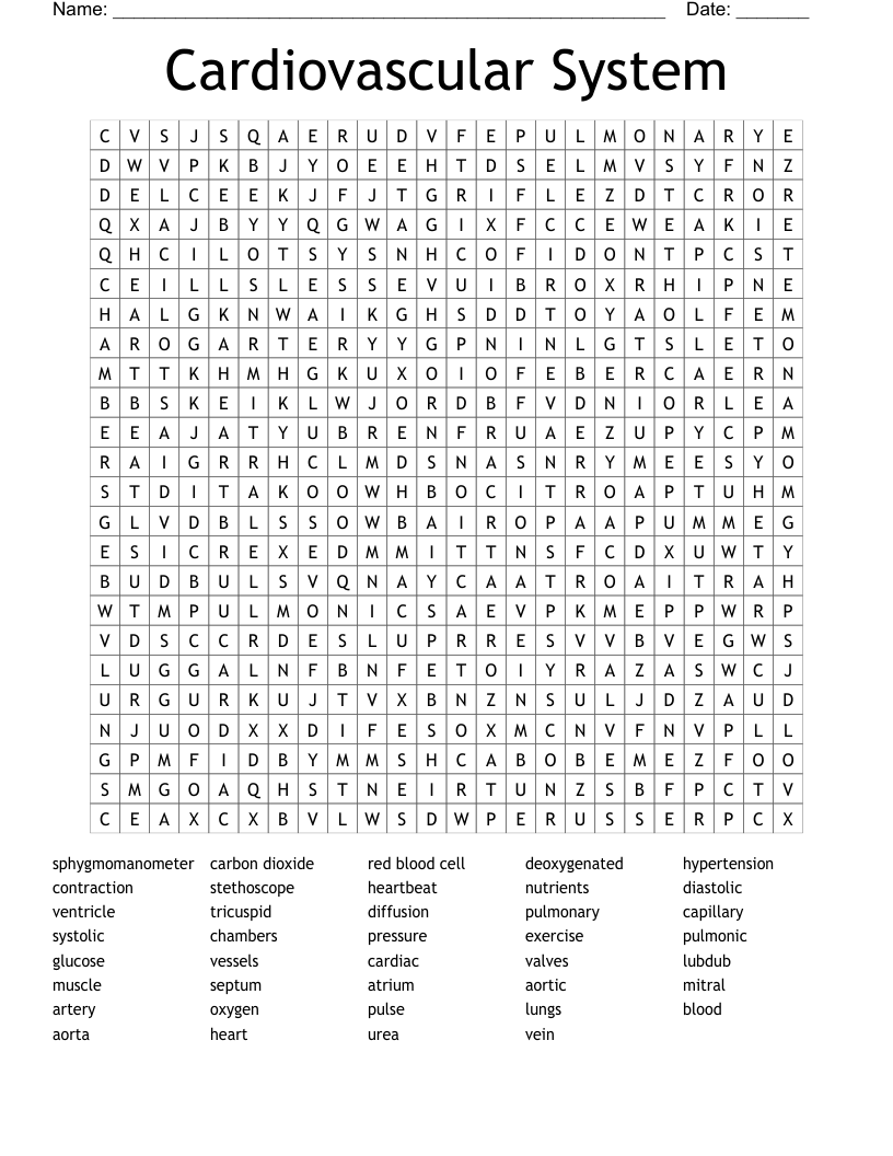 Cardiovascular System Word Search