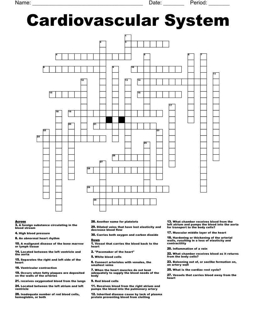 Cardiovascular System Crossword