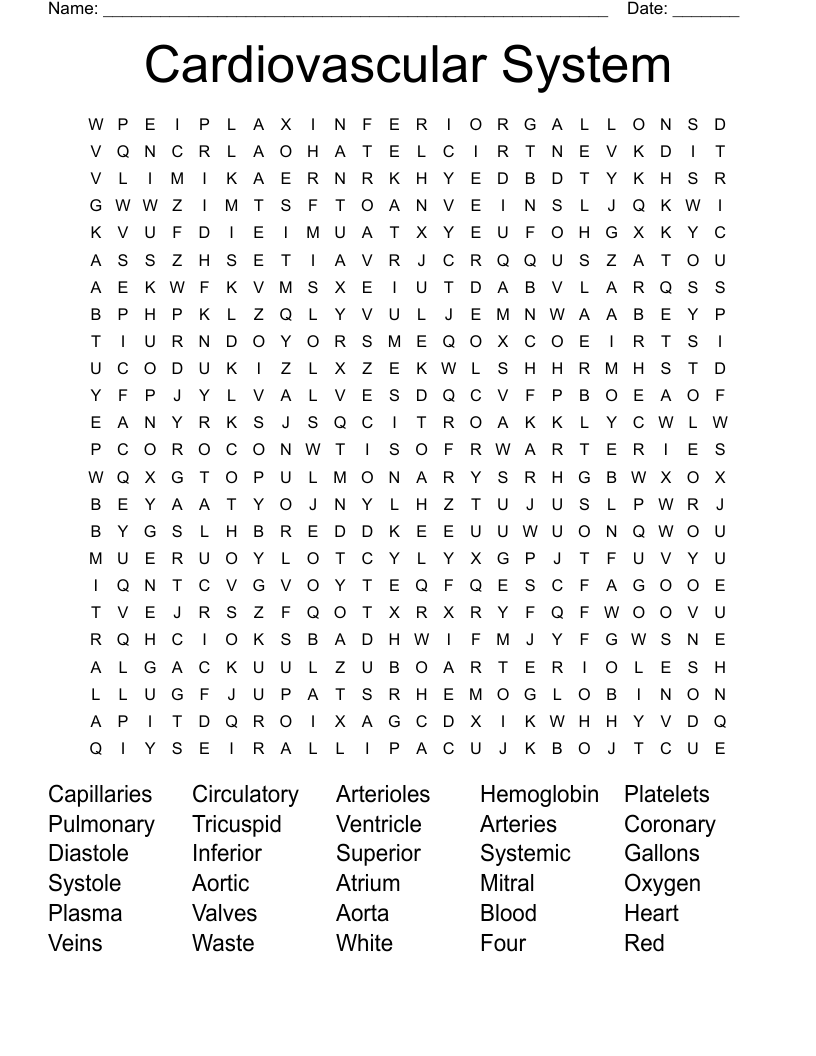 Cardiovascular System Word Search