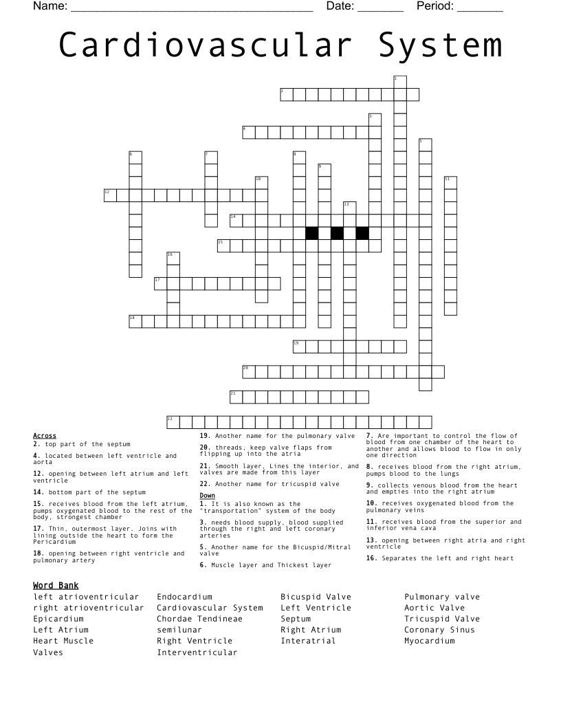 Cardiovascular System Crossword