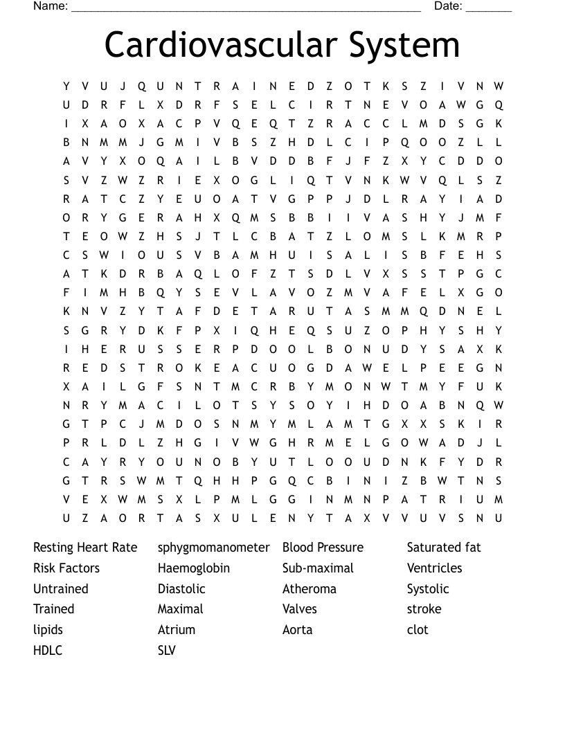Cardiovascular System Word Search