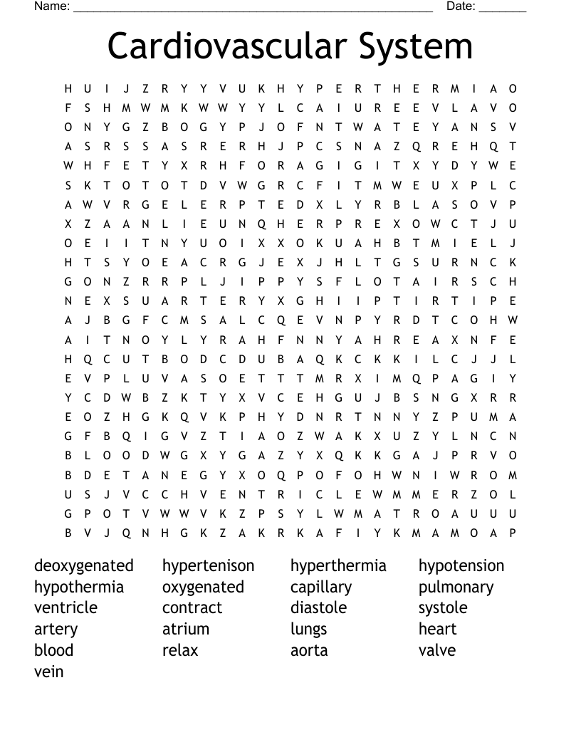 Cardiovascular System Word Search