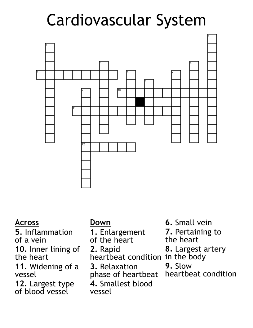 Cardiovascular System Crossword