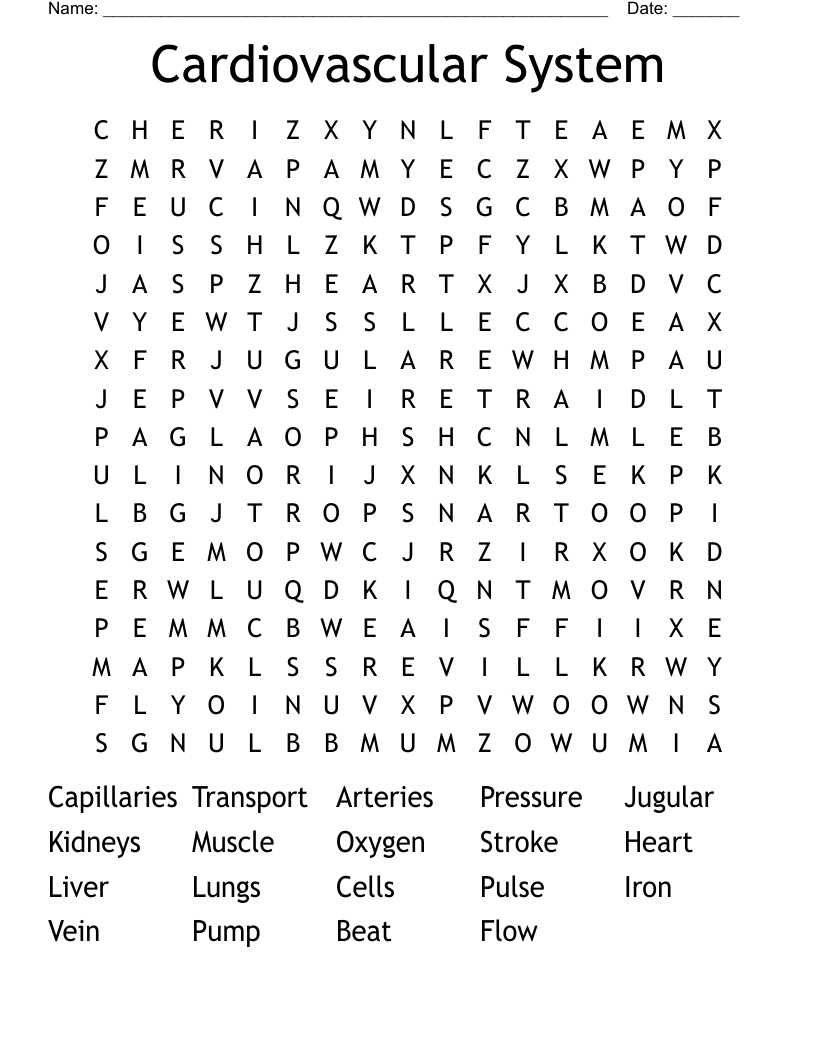 Cardiovascular System Word Search