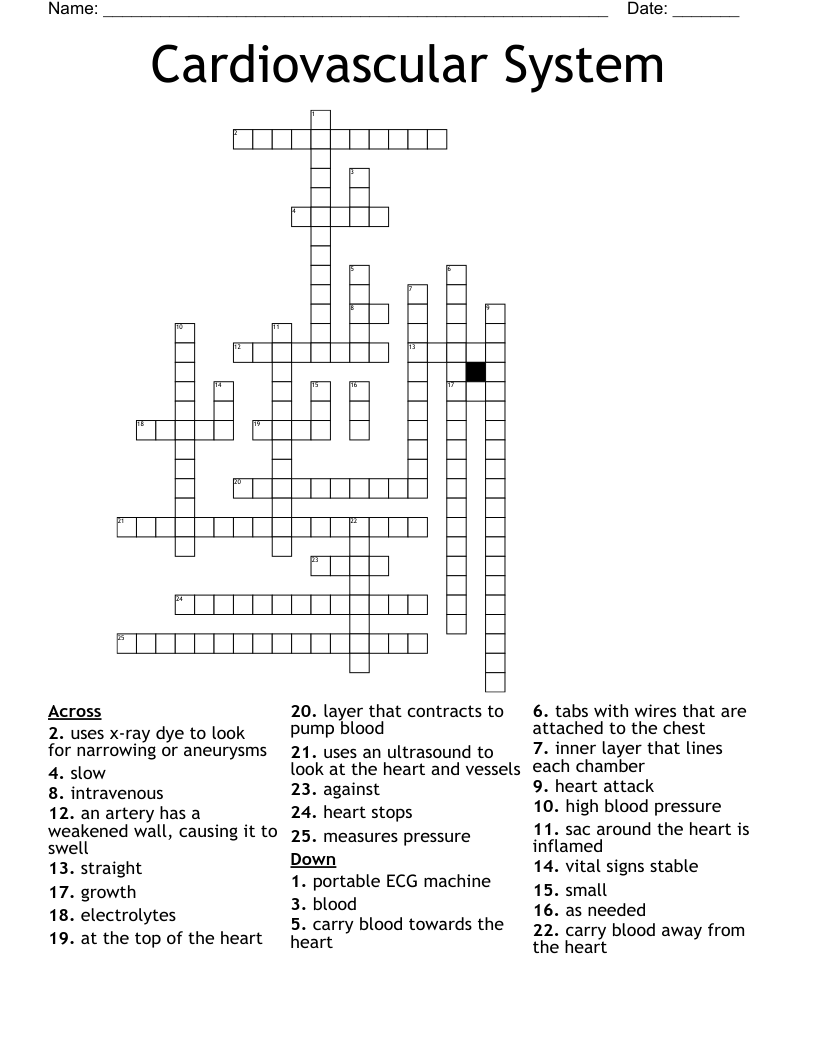 Cardiovascular System Crossword