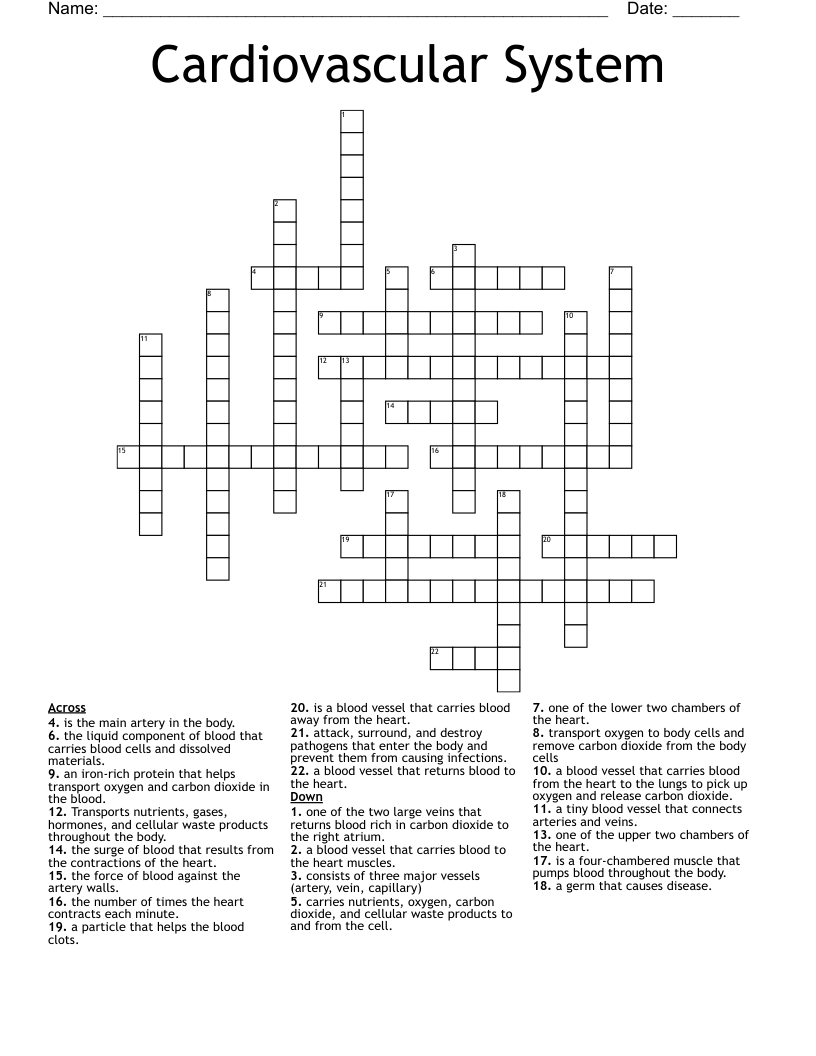 Cardiovascular System Crossword