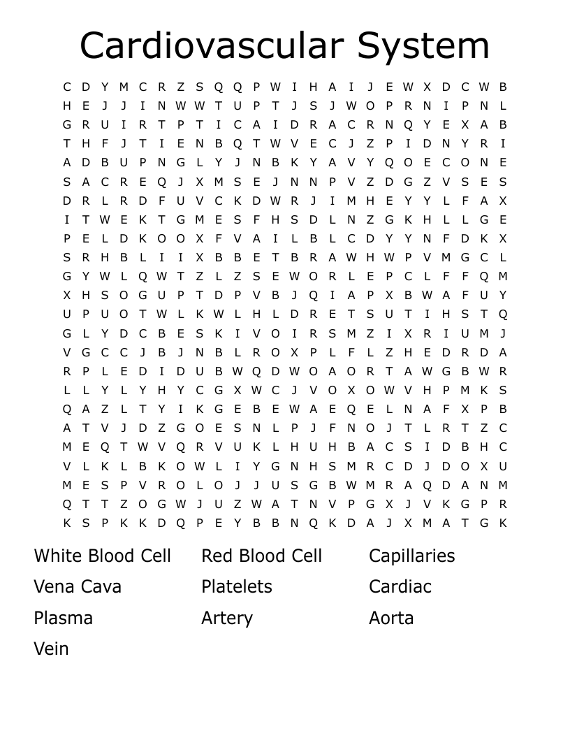 Cardiovascular System Word Search