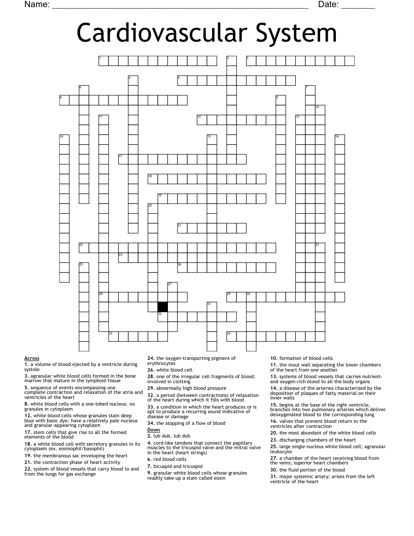 Cardiovascular System Crossword