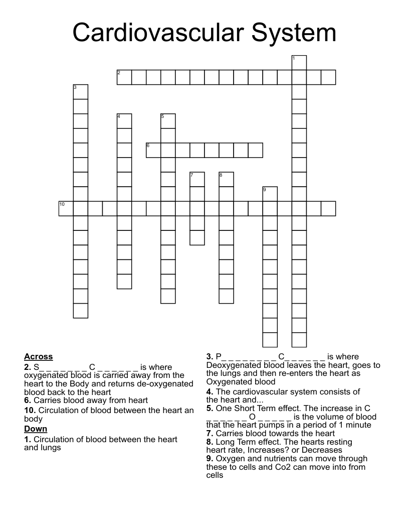 Cardiovascular System Crossword