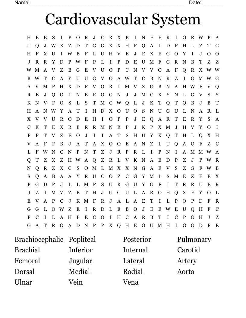 Cardiovascular System Word Search