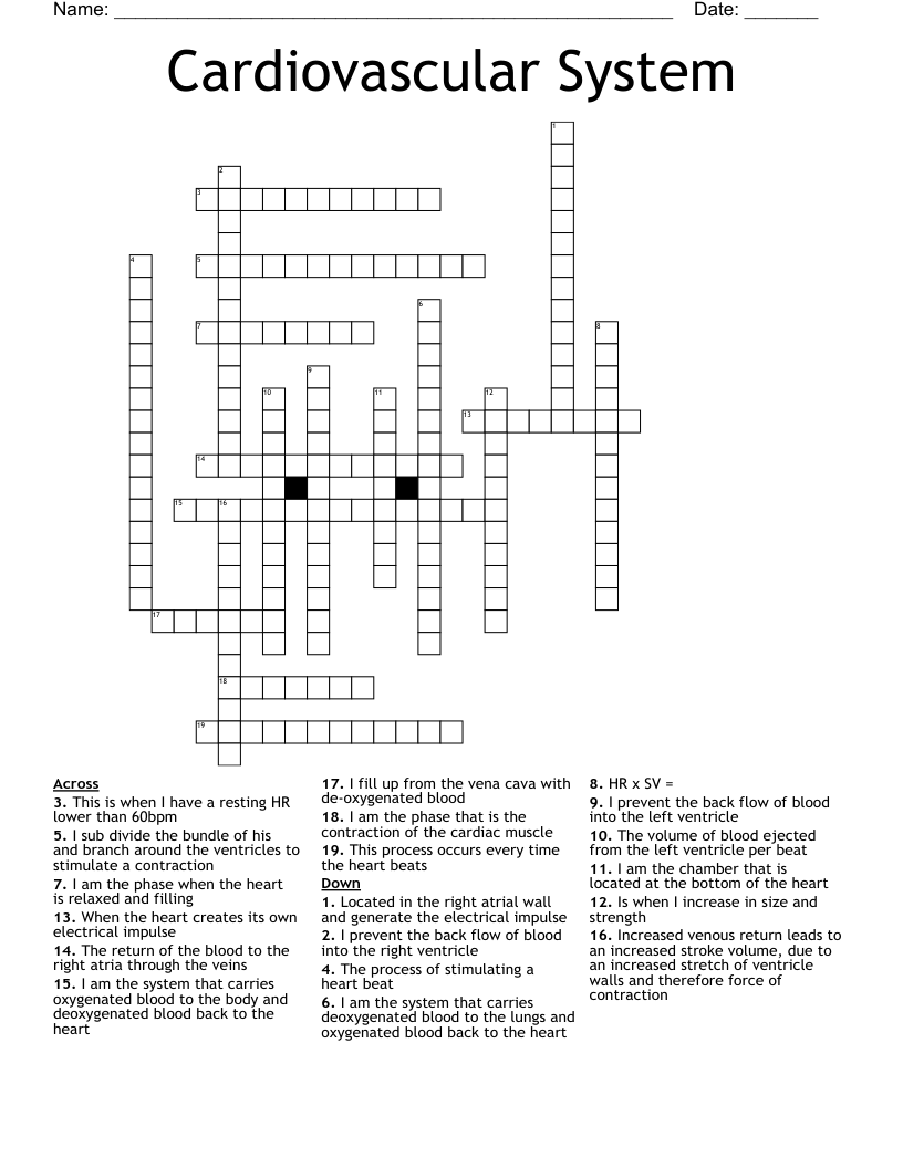Cardiovascular System Crossword