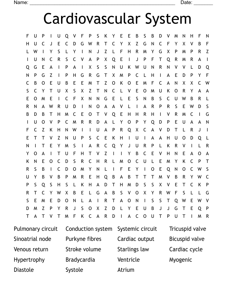 Cardiovascular System Word Search