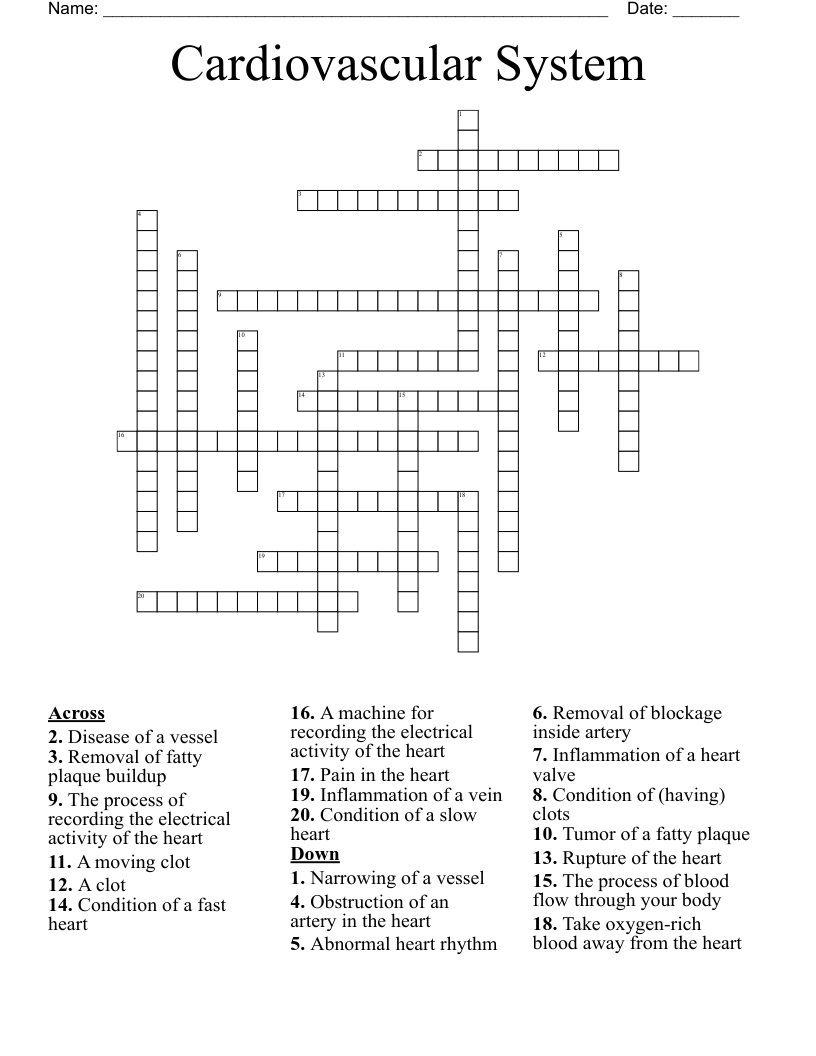 Cardiovascular System Crossword