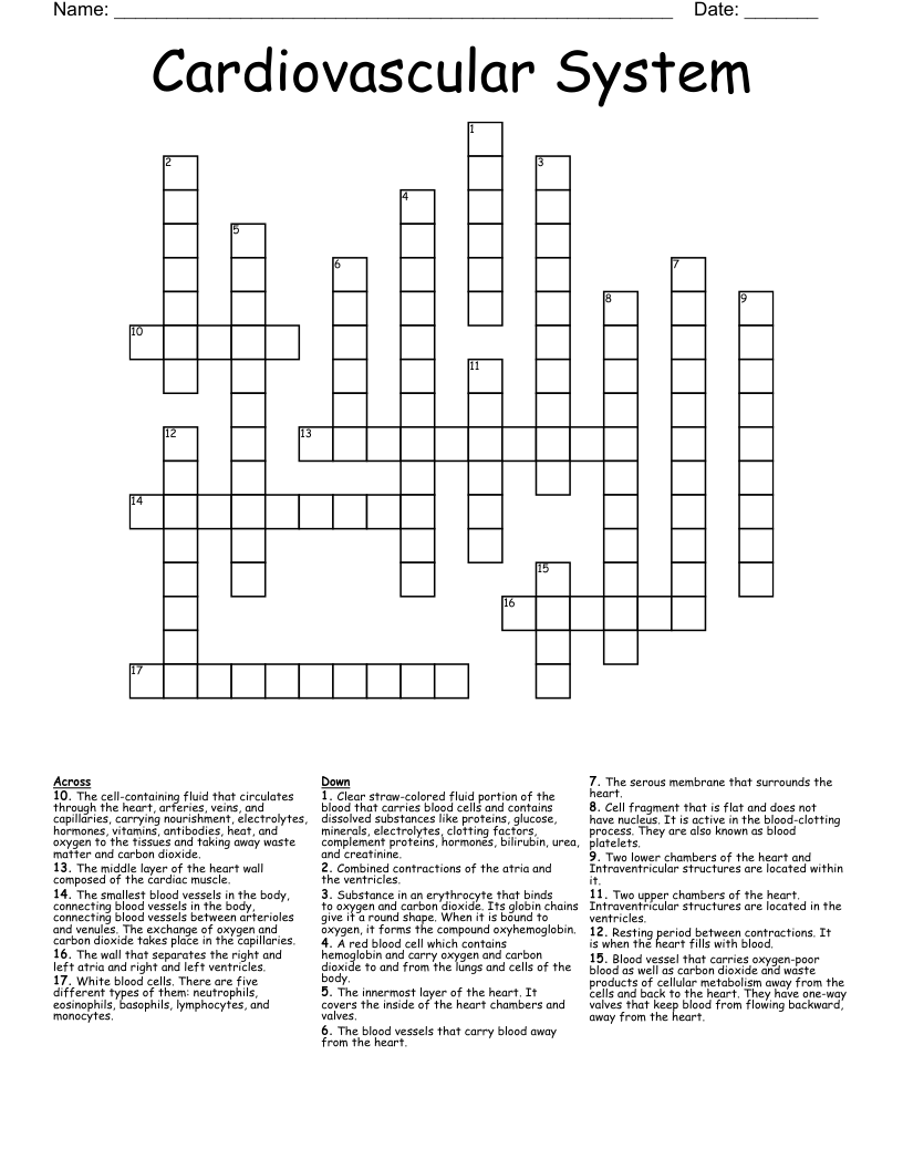 Cardiovascular System Crossword