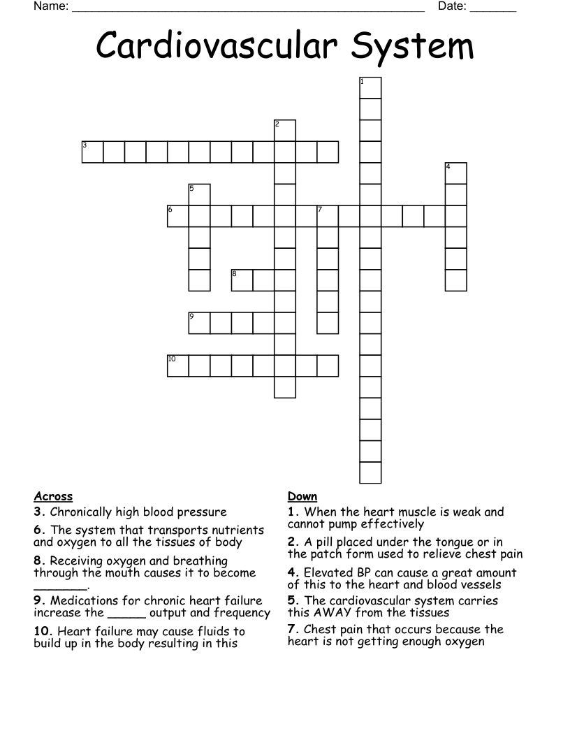 Cardiovascular System Crossword