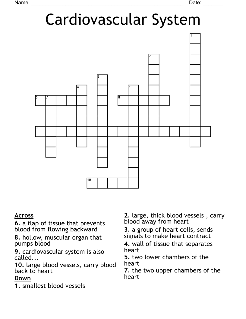 Cardiovascular System Crossword