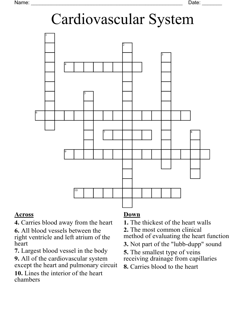 Cardiovascular System Crossword