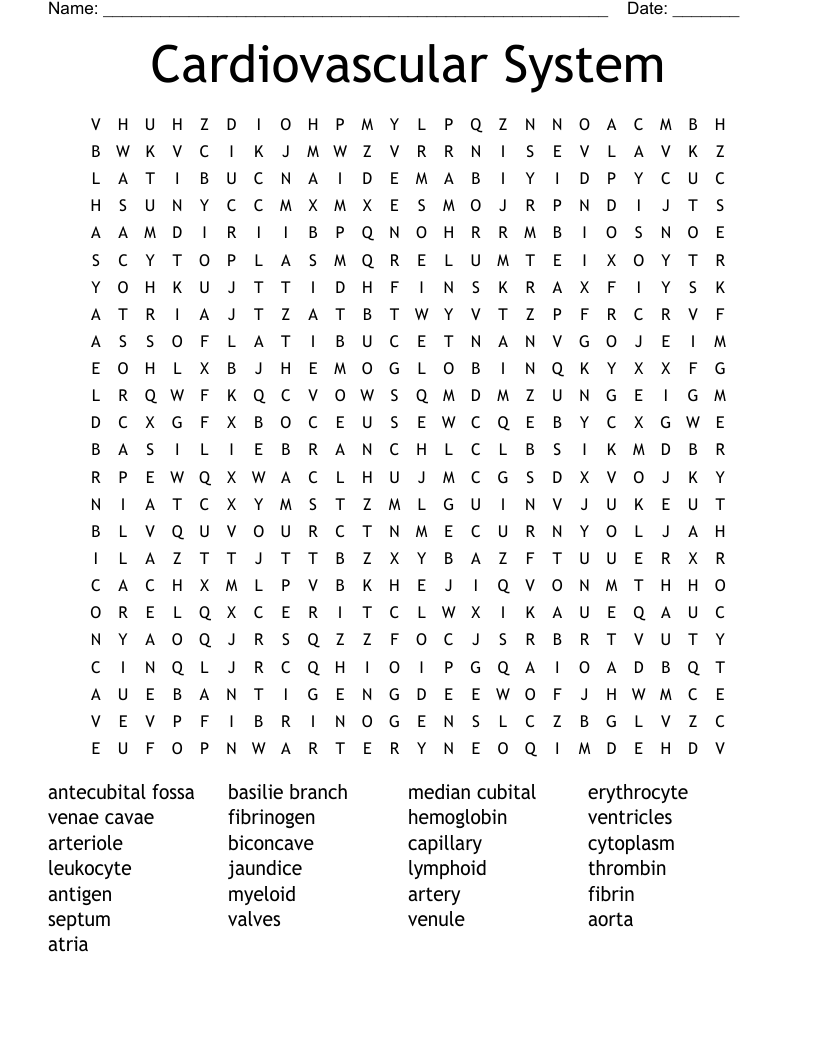 Cardiovascular System Word Search