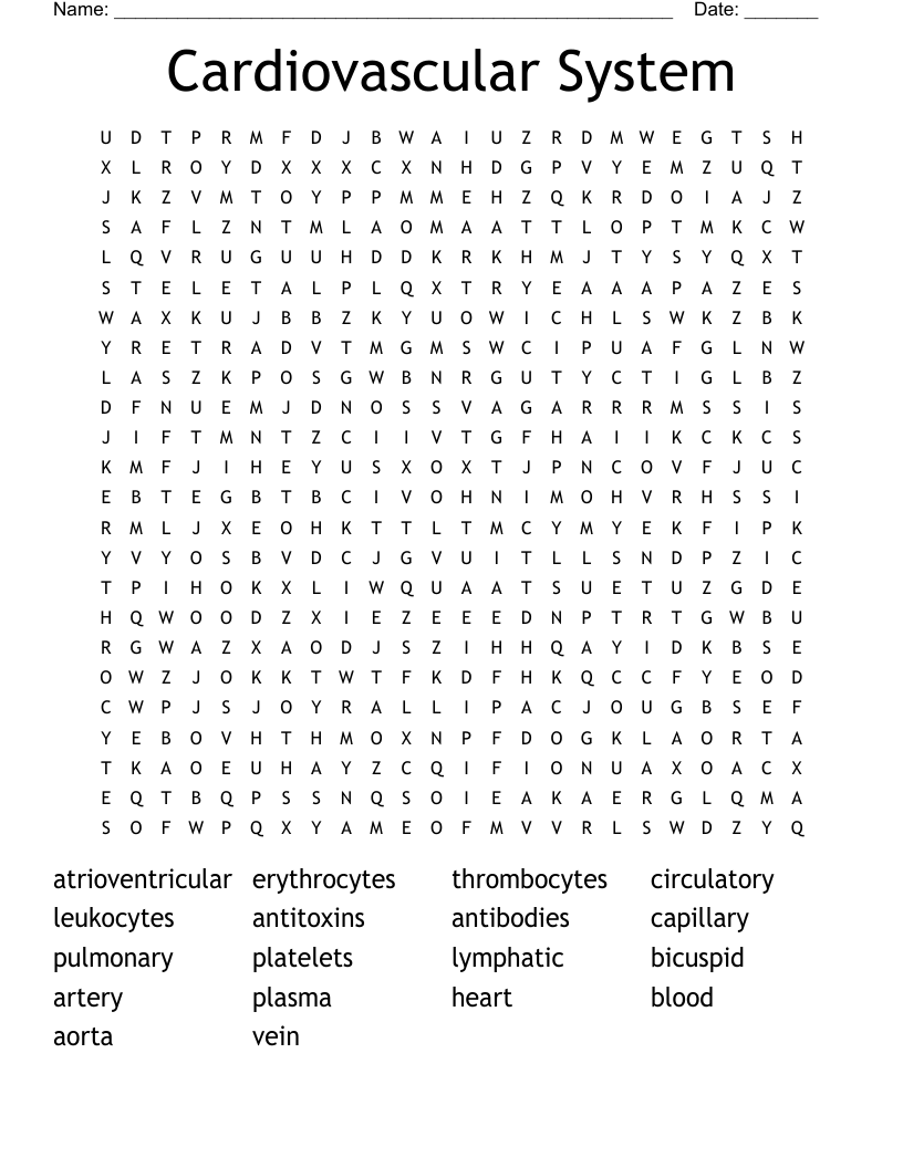 Cardiovascular System Word Search