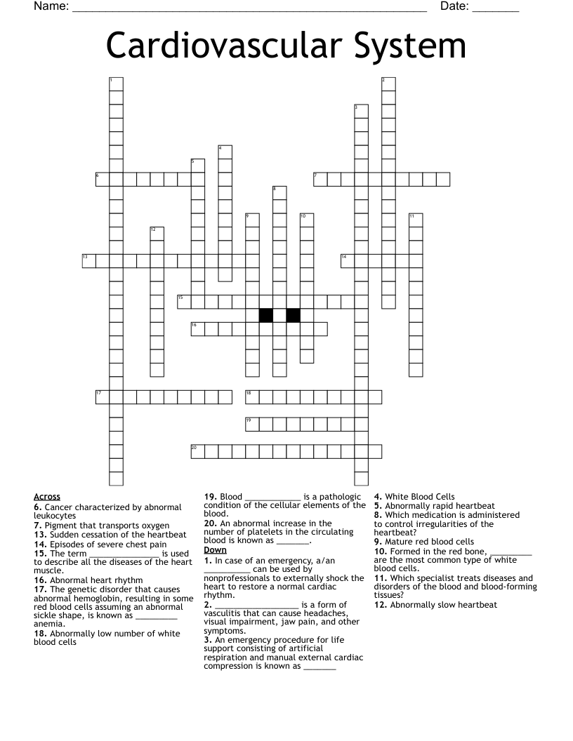 Cardiovascular System Crossword