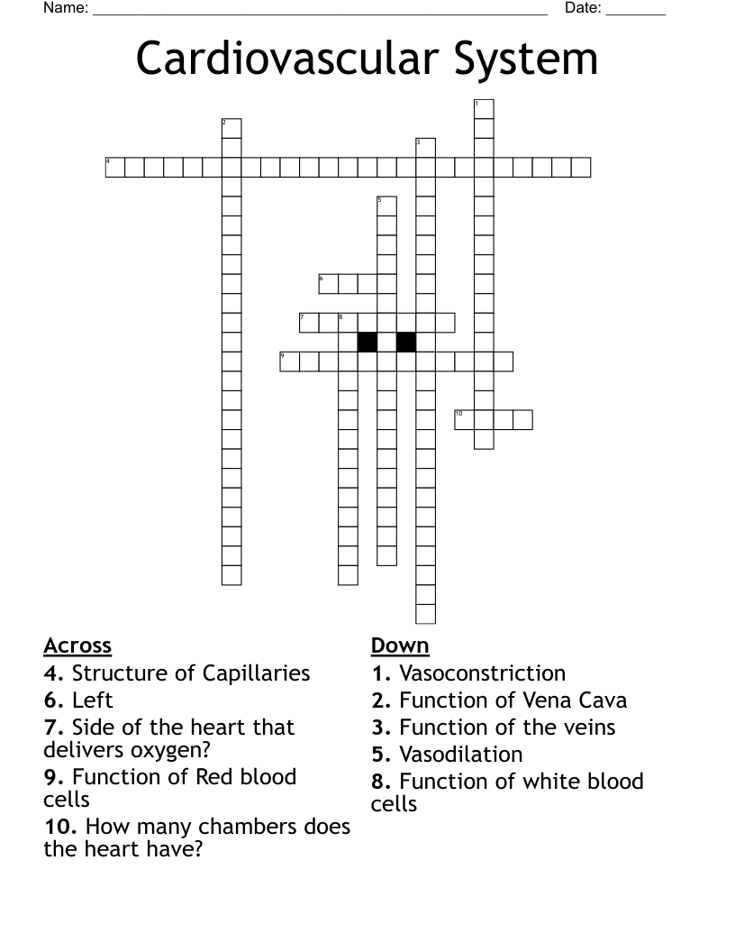 Cardiovascular System Crossword