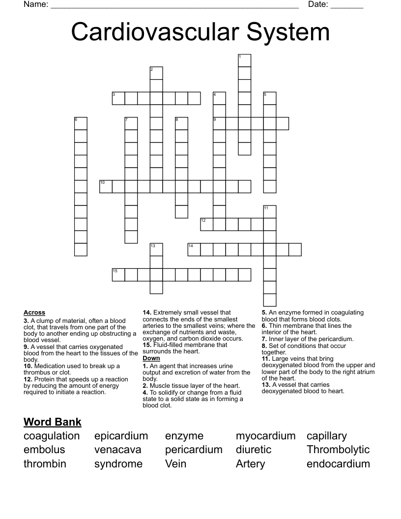 Cardiovascular System Crossword