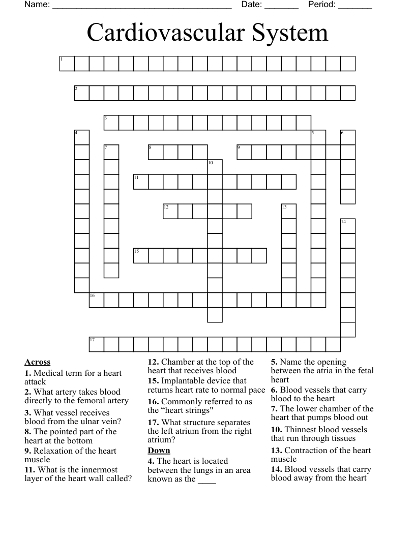 Cardiovascular System Crossword