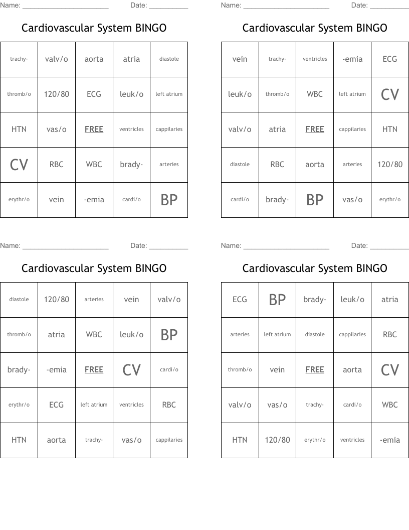 Cardiovascular System BINGO