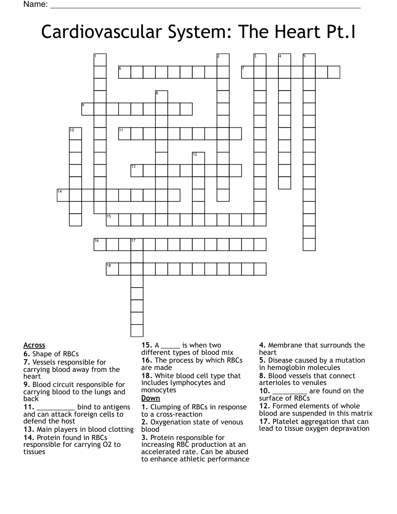Cardiovascular System: The Heart Pt.I Crossword