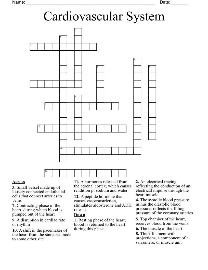 Cardiovascular System  Crossword