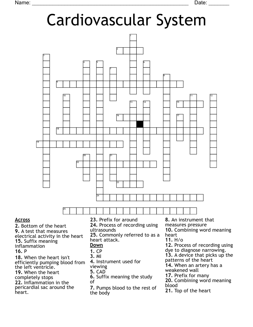 Cardiovascular System  Crossword