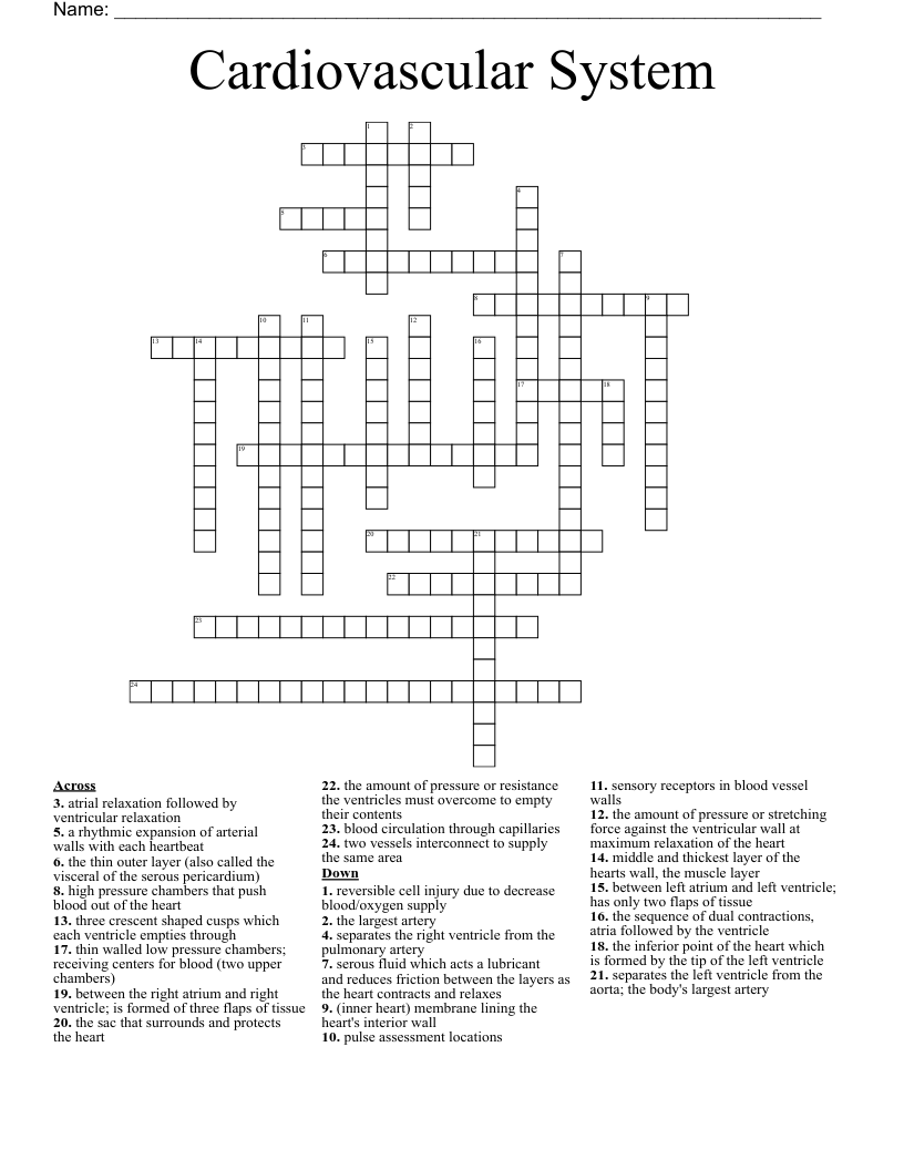 Cardiovascular System  Crossword