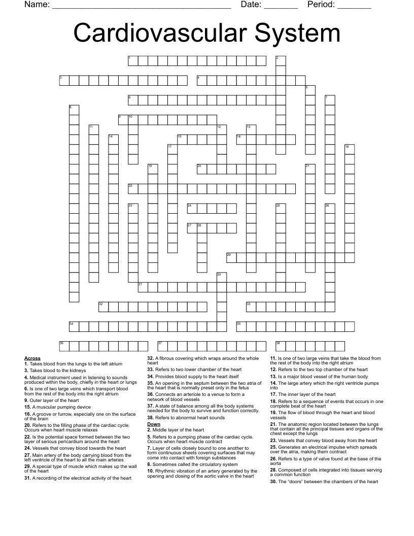 Cardiovascular System  Crossword