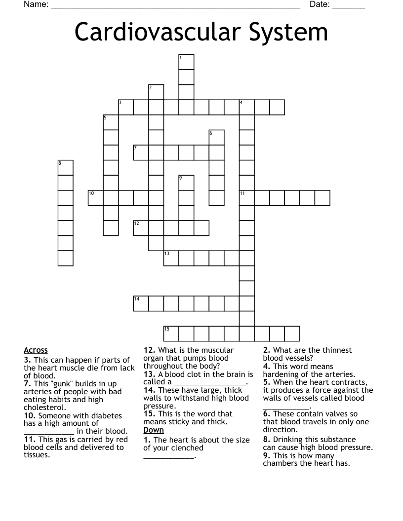 Cardiovascular System  Crossword