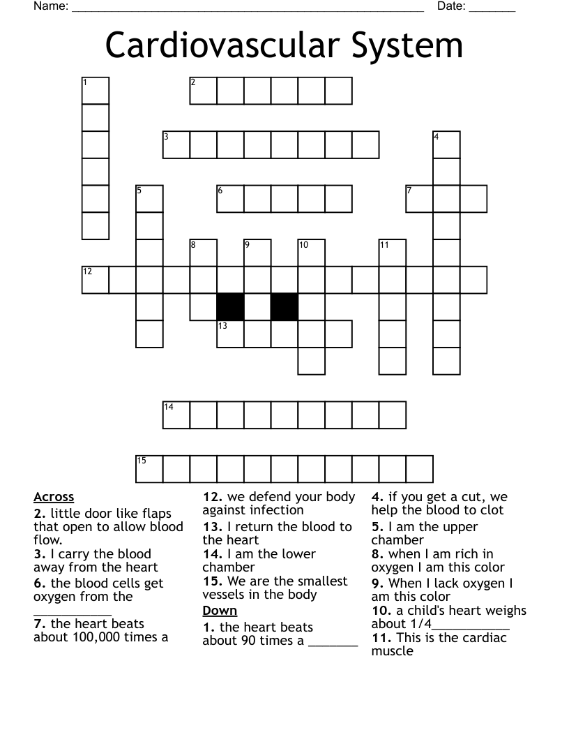 Cardiovascular System  Crossword