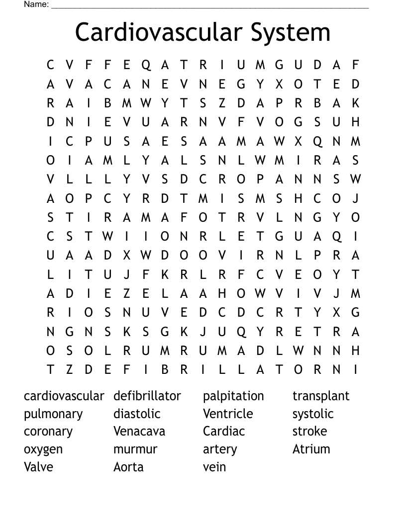 Cardiovascular System  Word Search