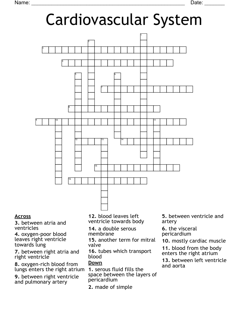 Cardiovascular System  Crossword