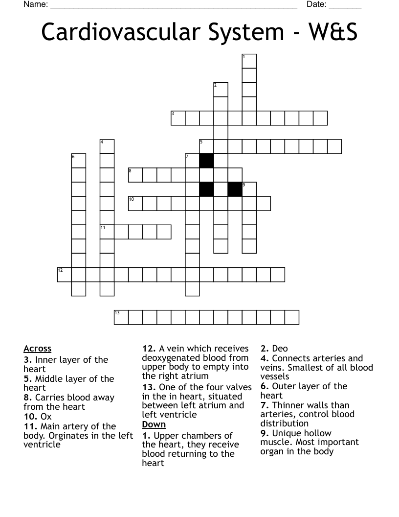 Cardiovascular System - W&S Crossword