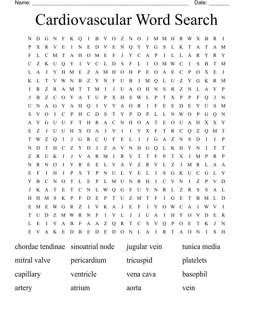 Cardiovascular Word Search