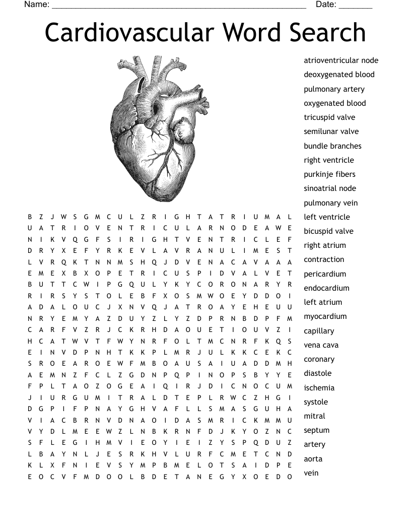 Cardiovascular Word Search