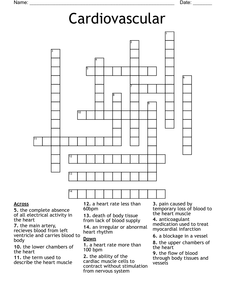 Cardiovascular  Crossword