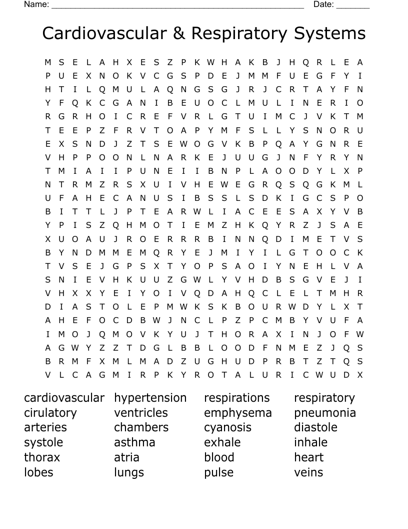 Cardiovascular & Respiratory Systems Word Search