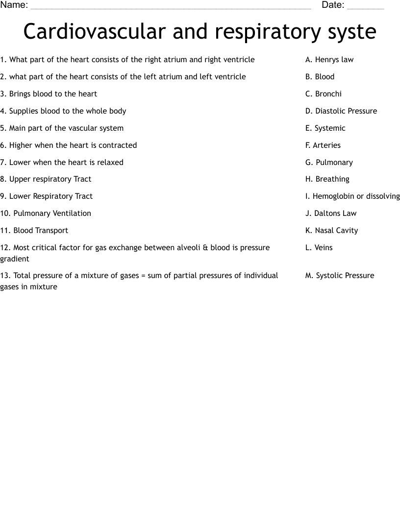 Cardiovascular and respiratory syste  Worksheet