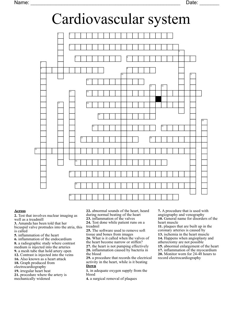 Cardiovascular system Crossword