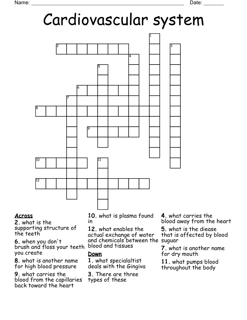 Cardiovascular system Crossword