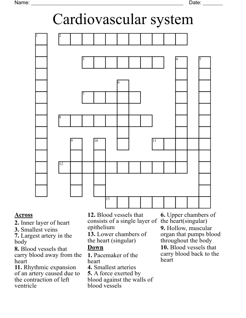 Cardiovascular system Crossword
