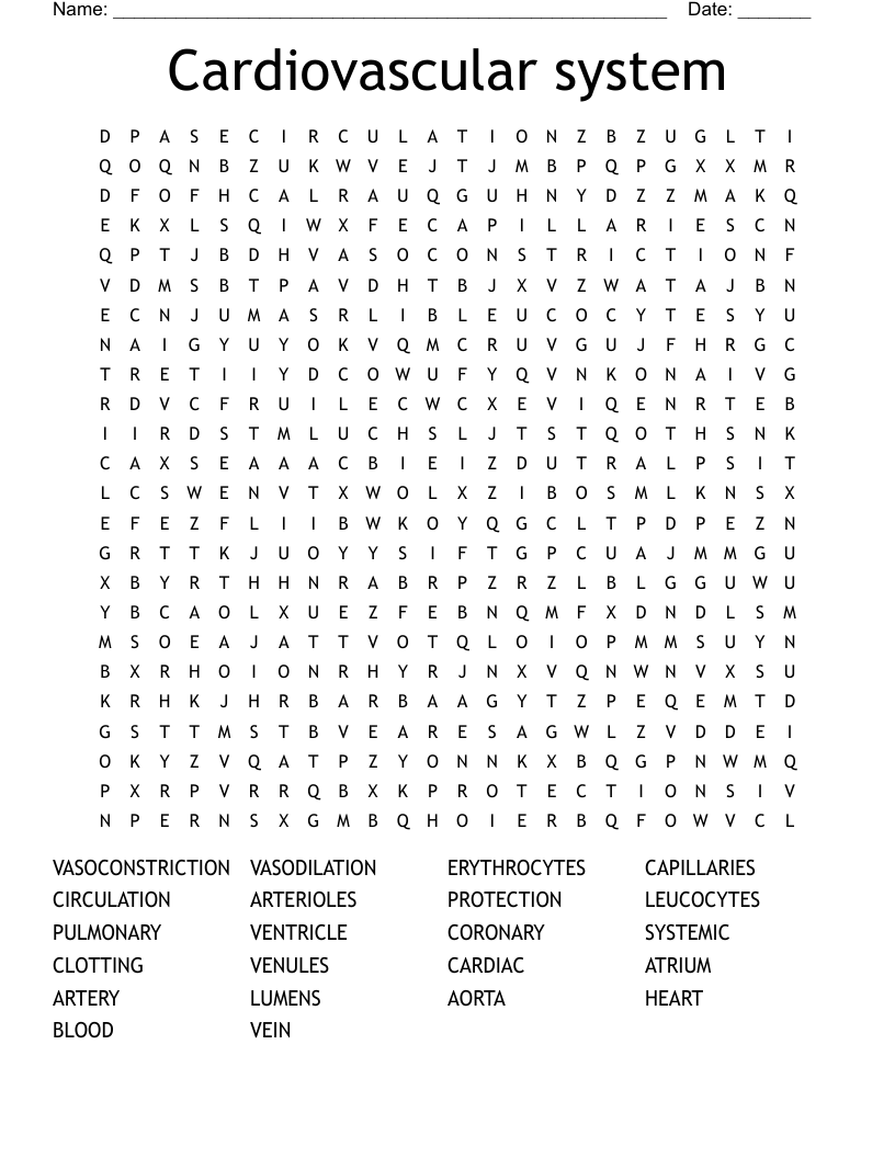 Cardiovascular system Word Search