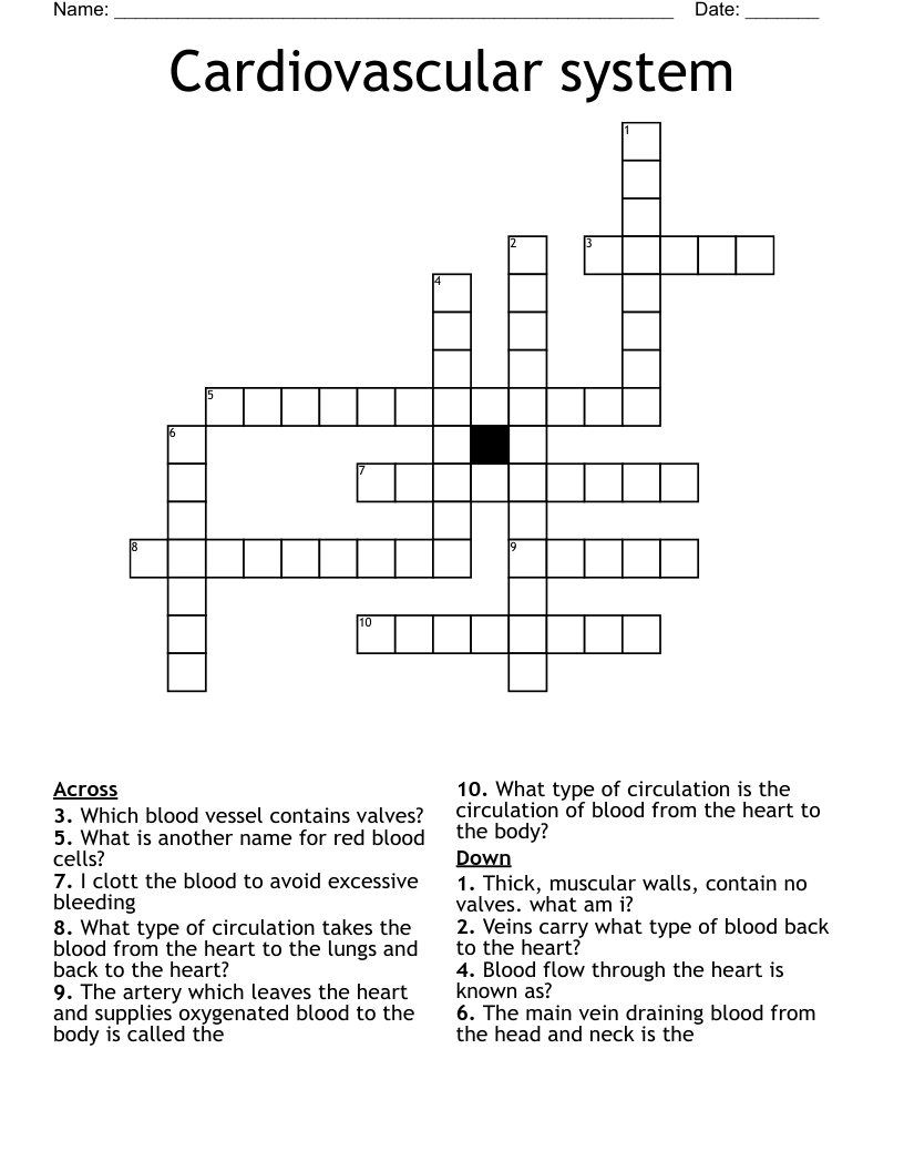 Cardiovascular system Crossword